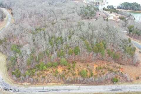 Ridge Top Drive, Rockwood, TN 37854