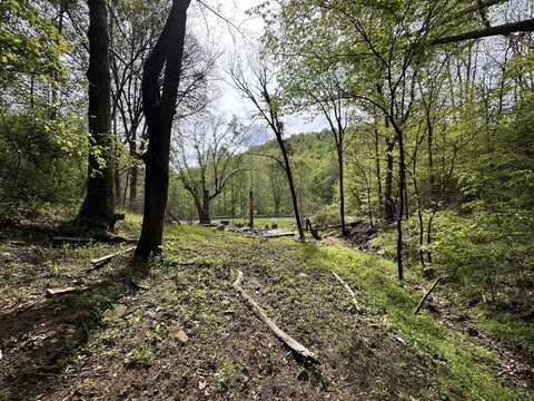 11671 KY-11, Woollum, KY 40906
