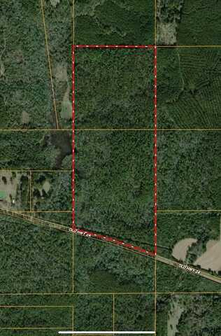 TBD Old Hwy 24, Leakesville, MS 39451