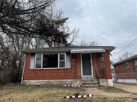 4164 Bingham Avenue, Saint Louis, MO 63116