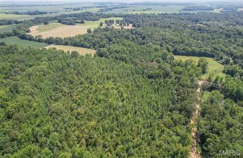 0 Tract 8b Highway 158, Harviell, MO 63945