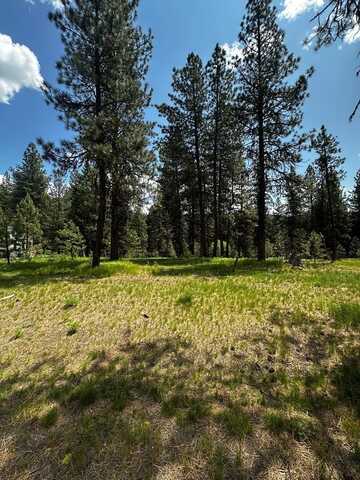 23 Vernon Court, McCall, ID 83638
