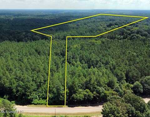 30.2 Acres Cathy Road, Byhalia, MS 38611