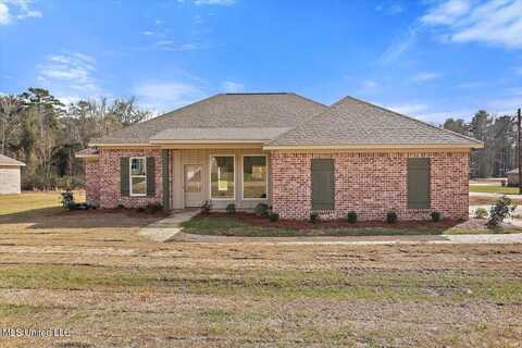 207 NW Dolly Lane, Magee, MS 39111