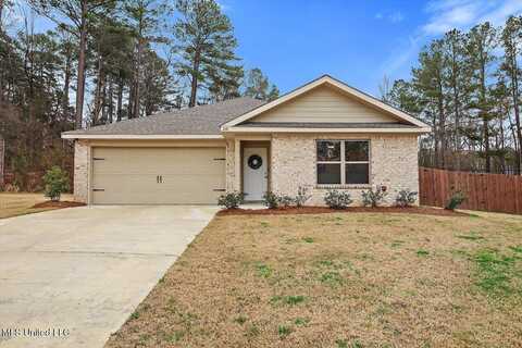 260 Skylane Drive, Pearl, MS 39208