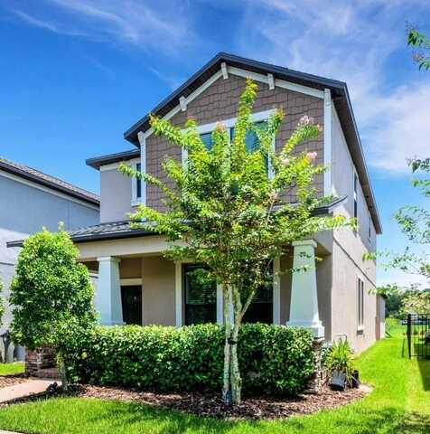 3568 PINE RIBBON DRIVE, LAND O LAKES, FL 34638