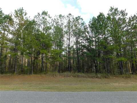 Lot 4 NW 145 AVENUE, WILLISTON, FL 32696