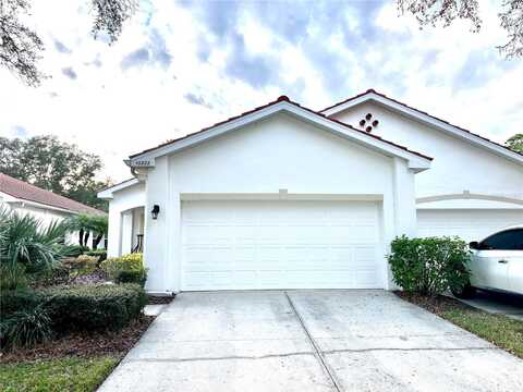 10222 DEVONSHIRE LAKE DRIVE, TAMPA, FL 33647