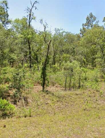 00 NW MALLARD AVENUE, DUNNELLON, FL 34431