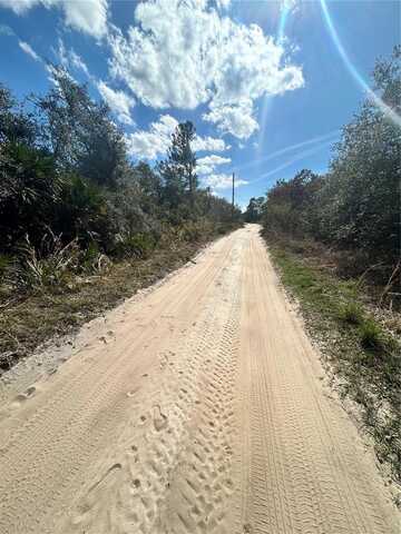 DEER CROSSING ROAD, ALTOONA, FL 32702