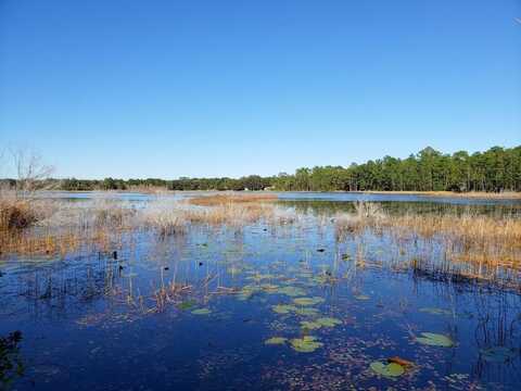 13.12ac NE HWY 315, FORT MC COY, FL 32134