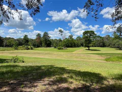 32212 AUTUMN MIST ROAD, EUSTIS, FL 32736