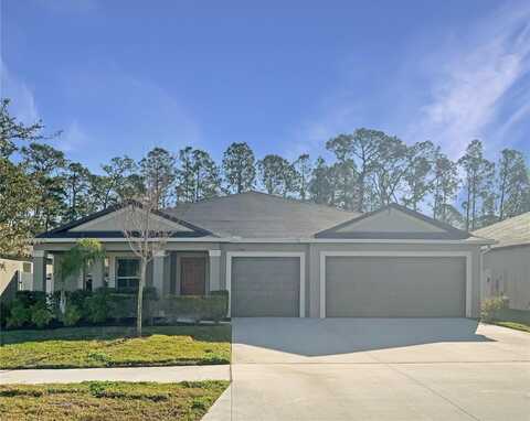 13507 WILLOW BLUESTAR LOOP, RIVERVIEW, FL 33579
