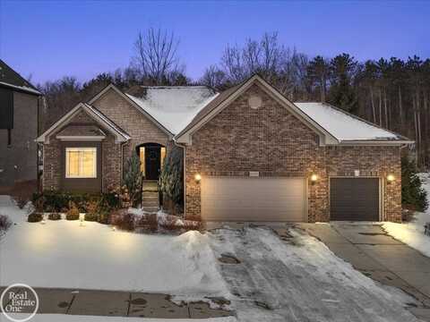 62255 Sawgrass, Washington, MI 48094