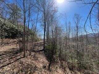 Lot 6 Sunset Vista Trail, TOPTON, NC 28781