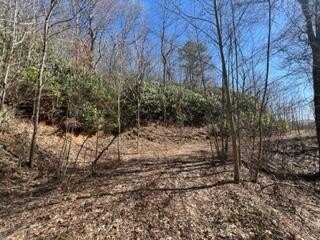 Lot 4 Sunset Vista Trail, TOPTON, NC 28781