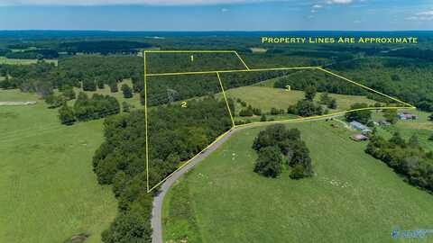 98.20 Acres County Road 23, Mount Hope, AL 35651