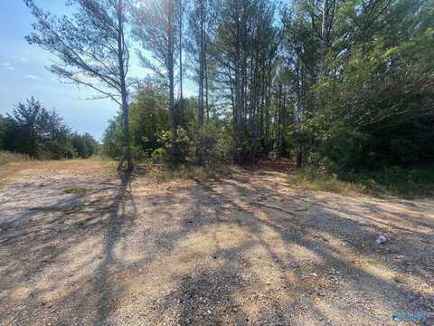 25 Acres Frankfort Road, Russellville, AL 35674