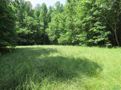 200 County Road 119, Limrock, AL 35776