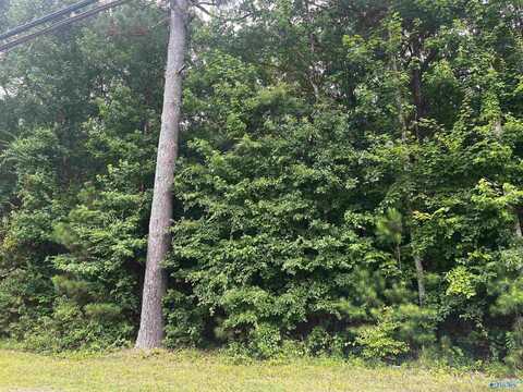 7.9 Acres Old Moulton Road, Decatur, AL 35603