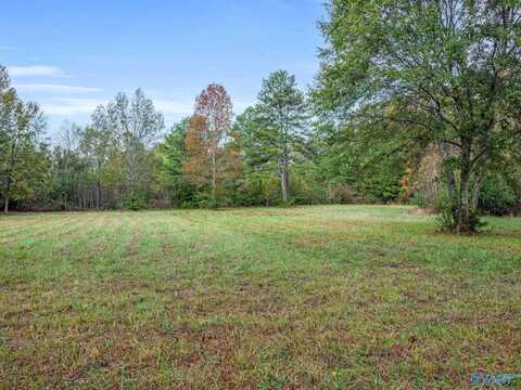 Tract 1 County Road 165, Rogersville, AL 35652