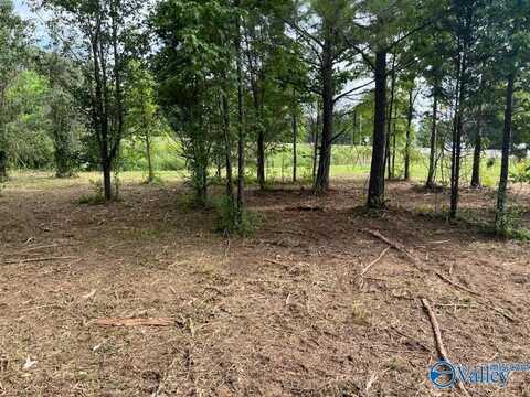 6.47 Acres South Greenway Drive, Trinity, AL 35673