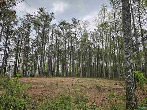 1.12+/- Acres 0 Scenic Drive, Section, AL 35771