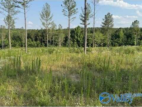 1 County Road 62, Gaylesville, AL 35973