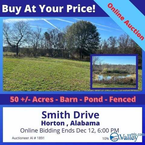 50 Acres Smith Drive, Horton, AL 35980