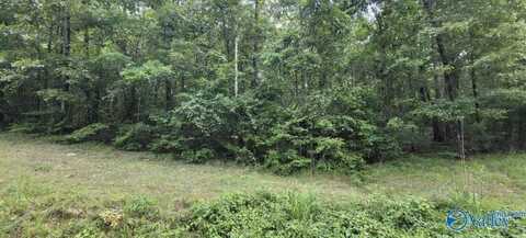 1.1 Acre Quail Run, Hamilton, AL 35570