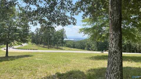 Lot 70 County Road 767, Cedar Bluff, AL 35959