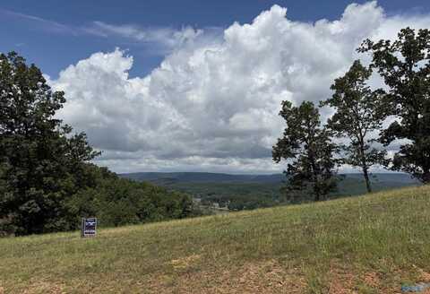 Lot 213 County Road 1022, Cedar Bluff, AL 35959