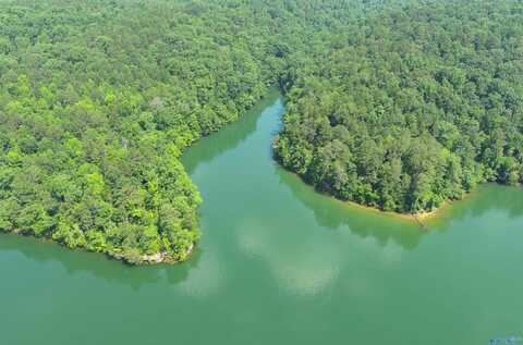 83 Acres Cl Ck Smith Lake, Double Springs, AL 35553