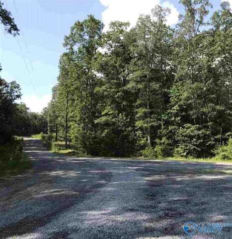 11 Road 903, Mentone, AL 35984