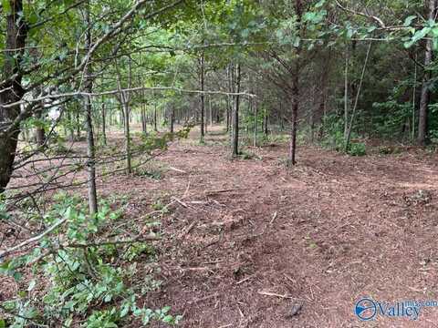 6.21 Acres South Greenway Drive, Trinity, AL 35673