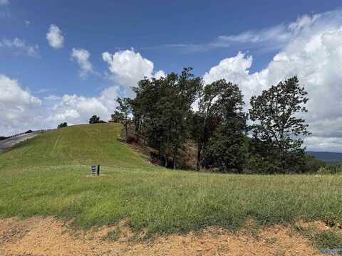 Lot 214 County Road 1022, Cedar Bluff, AL 35959