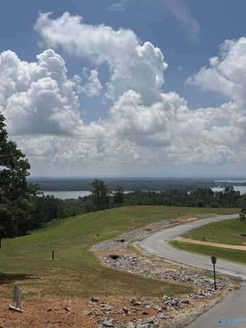 Lot 61 County Road 767, Cedar Bluff, AL 35959