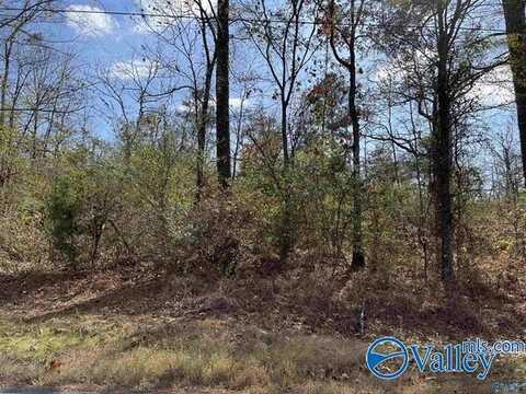 Lot 2 County Road 166 (Citadel Rock Road), Sand Rock, AL 35983