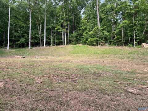 Lots 82 And 83 Wyeth Drive, Guntersville, AL 35976