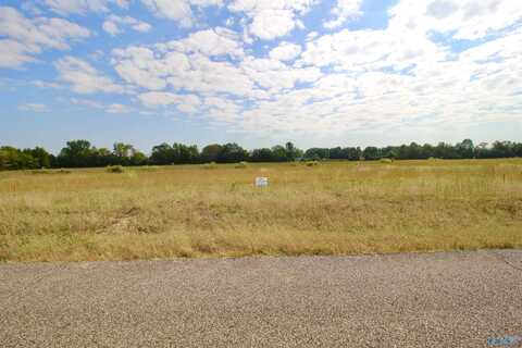 17194 Red Hill Road, Athens, AL 35611