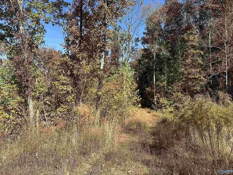 4 Acres Keel Mountain Road, Gurley, AL 35748