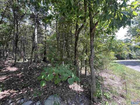 1.9 Acres Korgan Avenue E, Laceys Spring, AL 35754