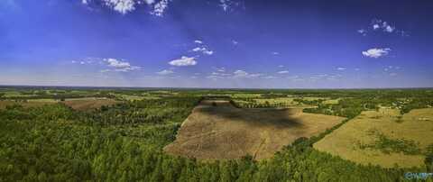 128 Acres County Road 89, Rogersville, AL 35652