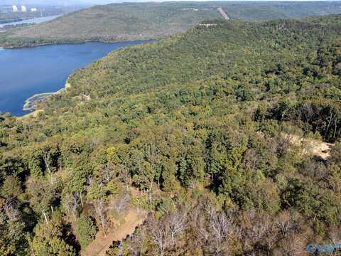 Lot 1 County Road 224, Dutton, AL 35744
