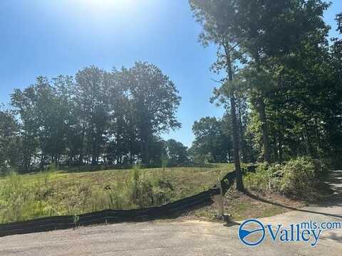 Lot 226 Woodmont Drive, Cherokee Ridge, AL 35175