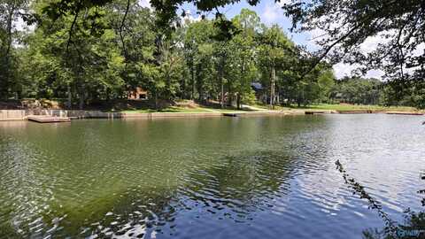 Lot 6 County Road 137, Cedar Bluff, AL 35959