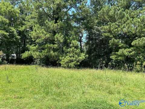 1408 Plato Jones Street, Athens, AL 35611