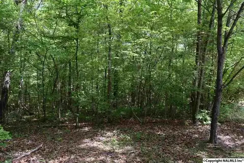 16.4 Ac Highway 278, Hokes Bluff, AL 35903