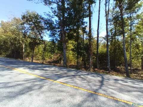 Highway 49e Bluff City Road, Somerville, AL 35670