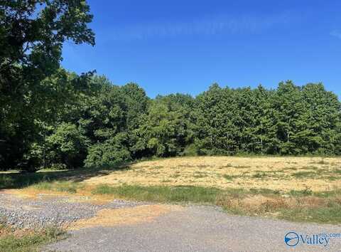 10.14 Acres Hillside Drive, Arab, AL 35016